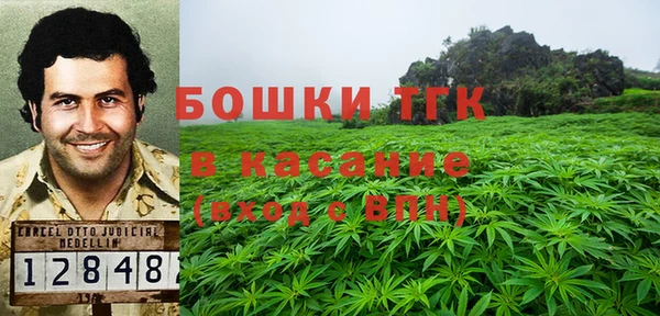 гидра Белоозёрский