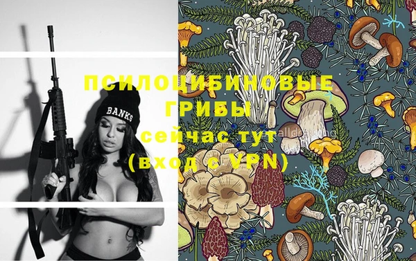 гидра Белоозёрский