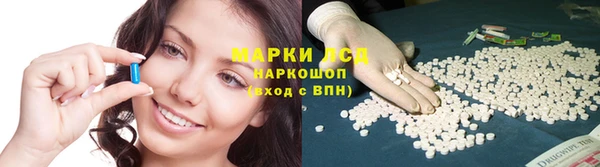 гидра Белоозёрский