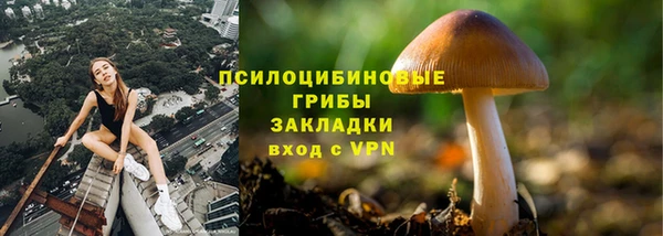 прущая мука Беломорск