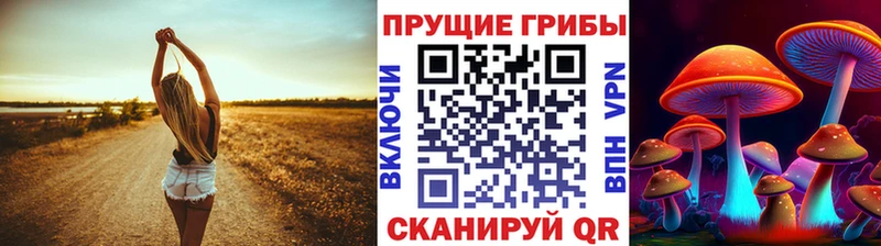 продажа наркотиков Дигора Галлюциногенные грибы Psilocybine cubensis