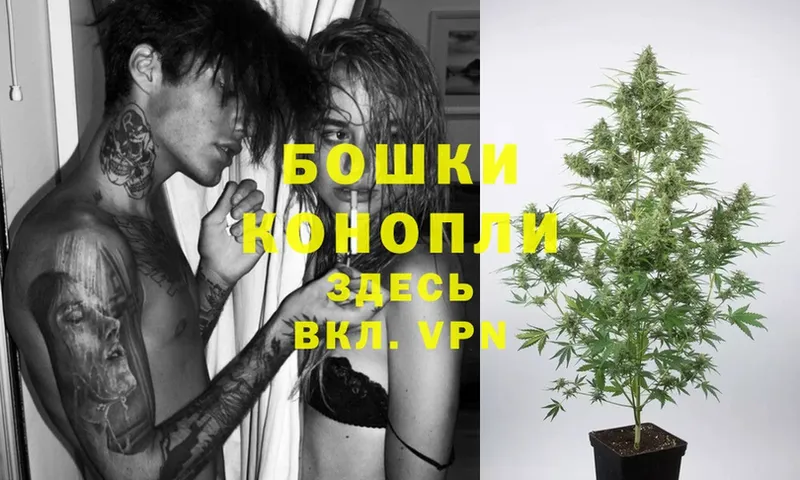 МАРИХУАНА SATIVA & INDICA  Дигора 